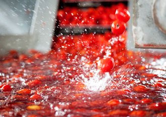 pomodori-lavaggio
