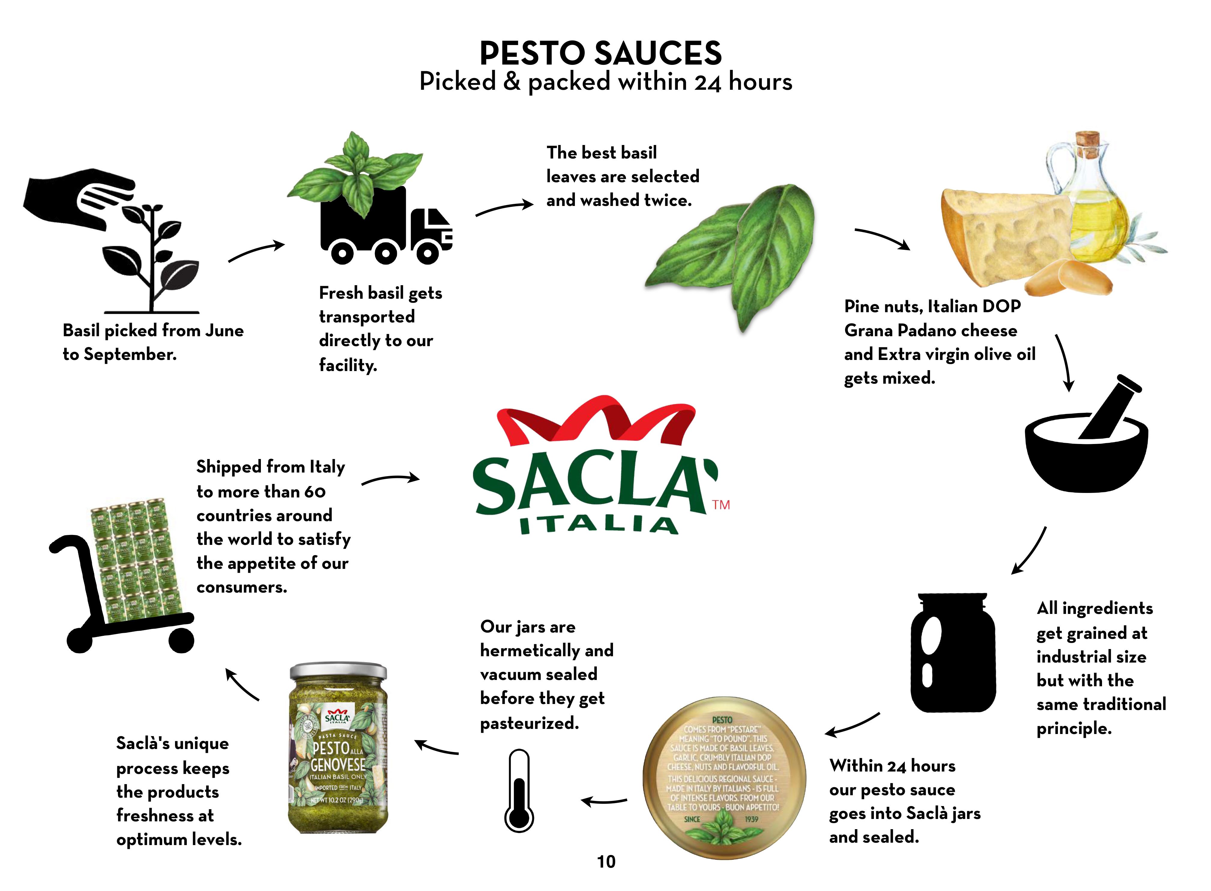 Pesto Sauce Process